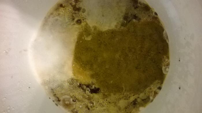 WP_20140425_001.jpg