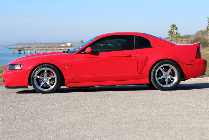 mustang.jpg