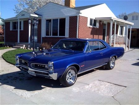 66 cobalt blue.jpg