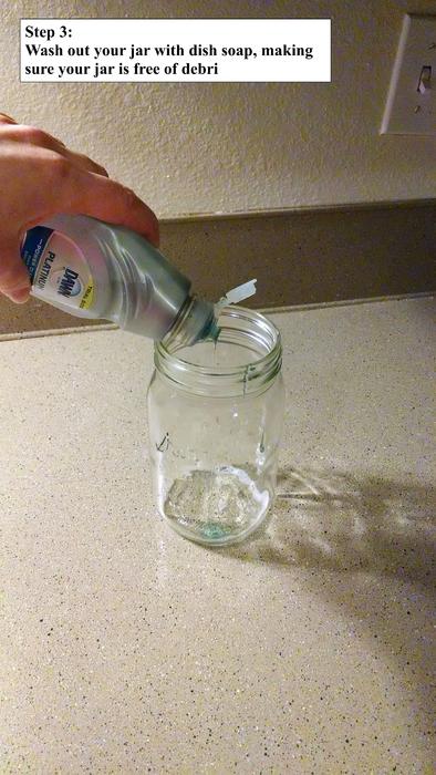 Kombucha 1.4.jpg