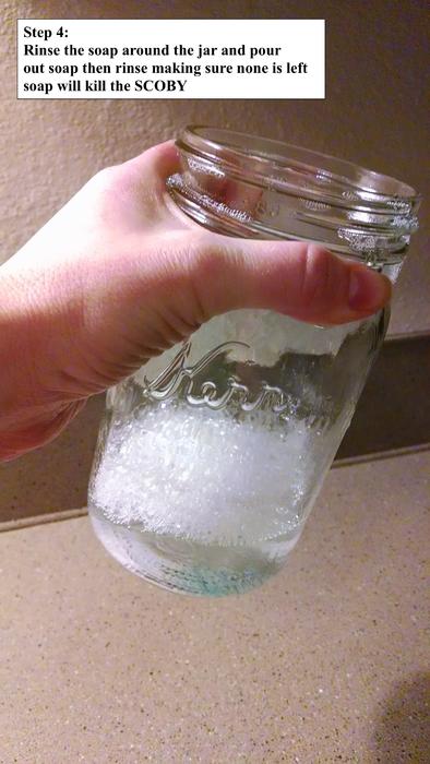 Kombucha 1.5.jpg