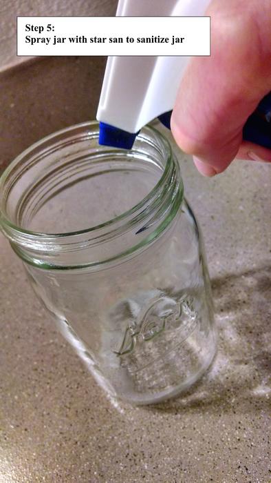 Kombucha 1.6.jpg