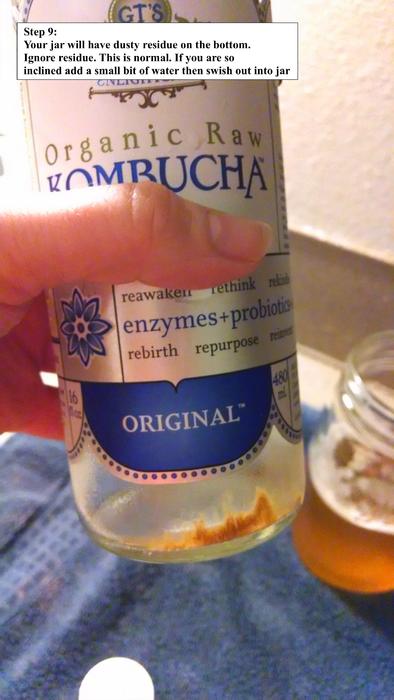 Kombucha 1.10.jpg