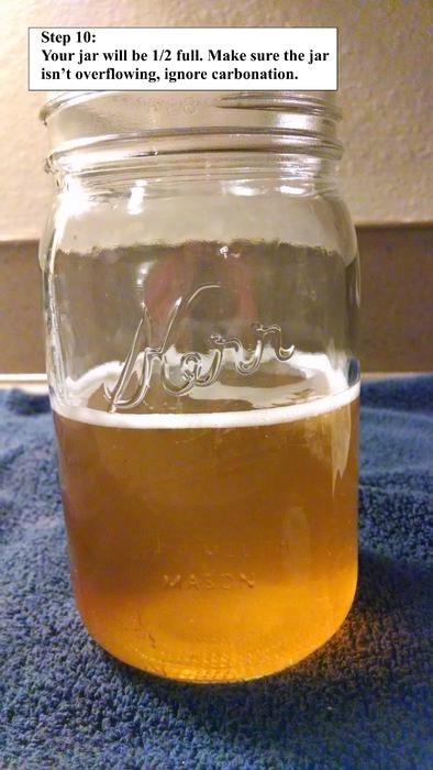 Kombucha 1.11.jpg