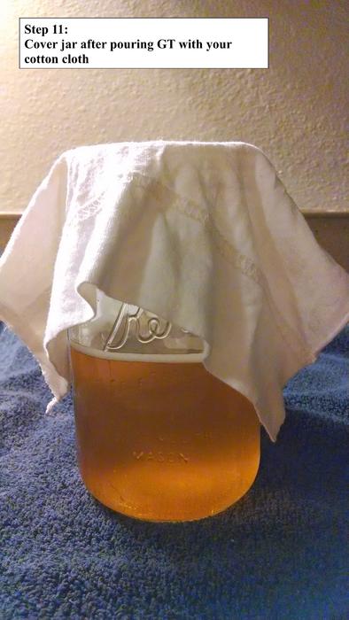 Kombucha 1.12.jpg