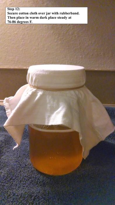 Kombucha 1.13.jpg