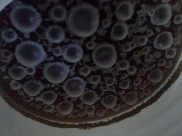 20140715_181913.jpg