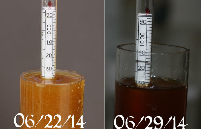 Comparison.jpg