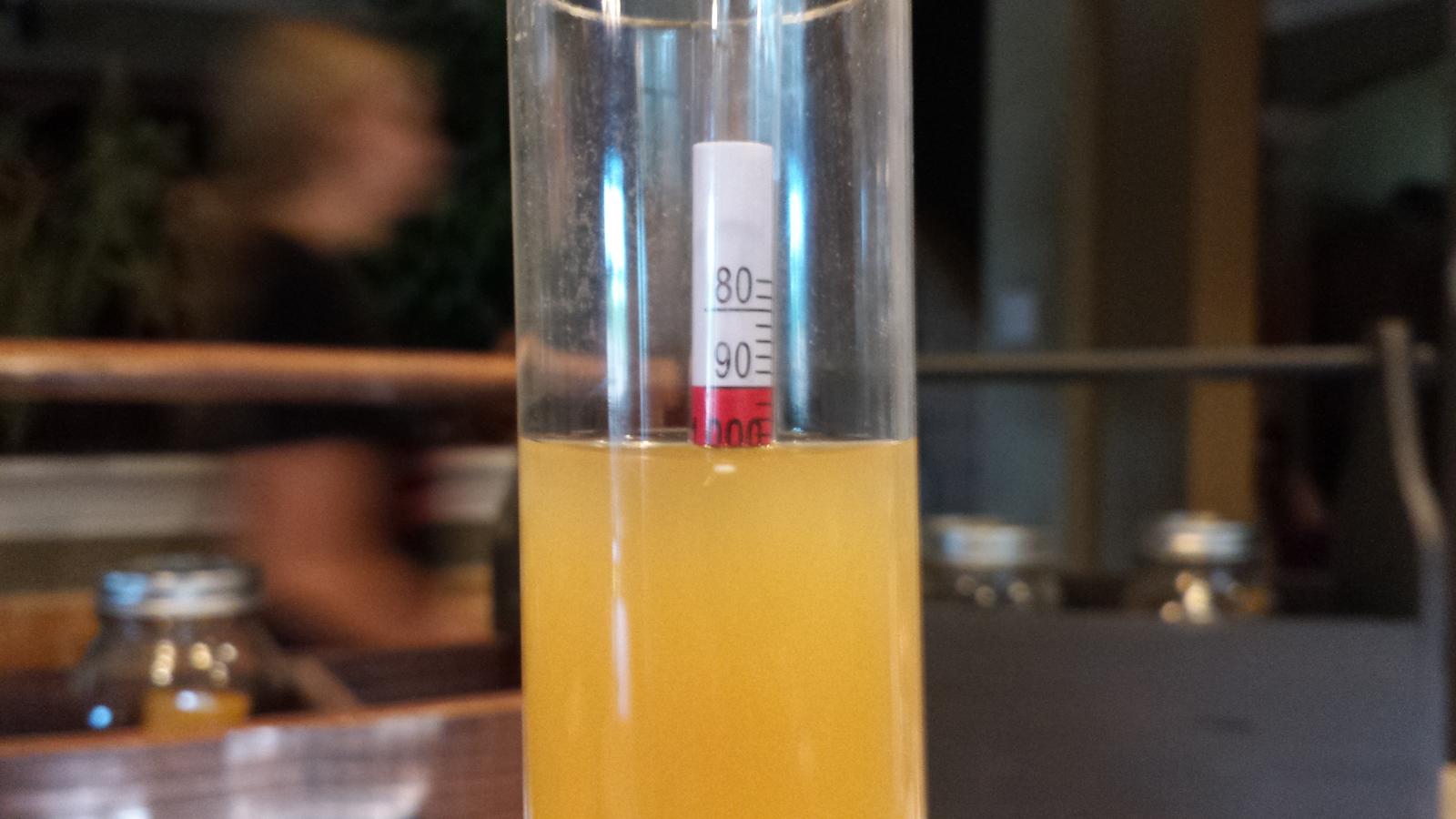 Apfelwein_Hydrometer.jpg