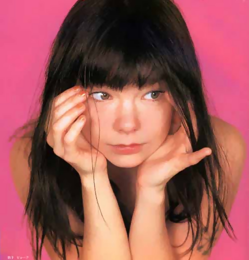 Bjork-3.jpg