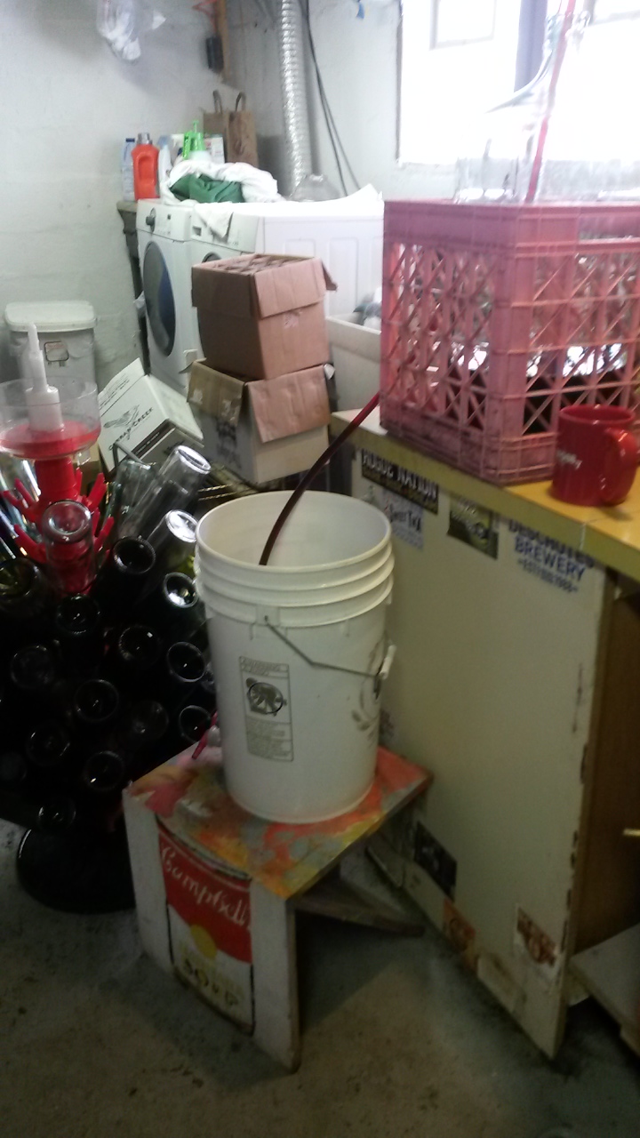 20141119_093853.jpg