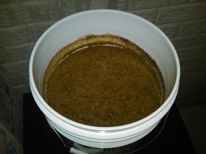 IMG00203-20110416-1629.jpg