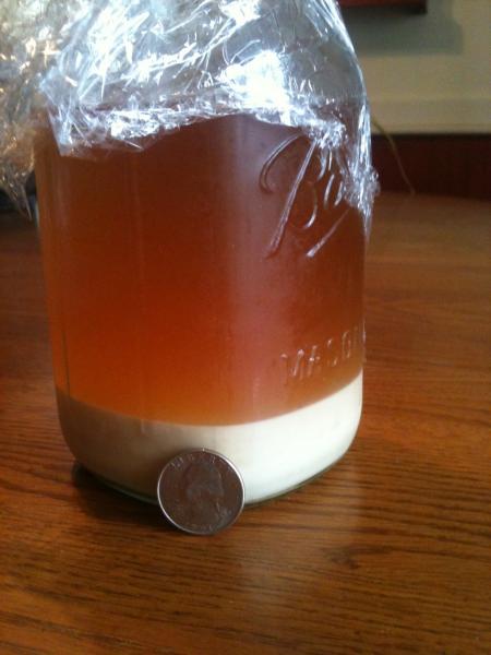 Wyeast 3463 reclaimed.jpg Wyeast 3463 reclaimed.jpg