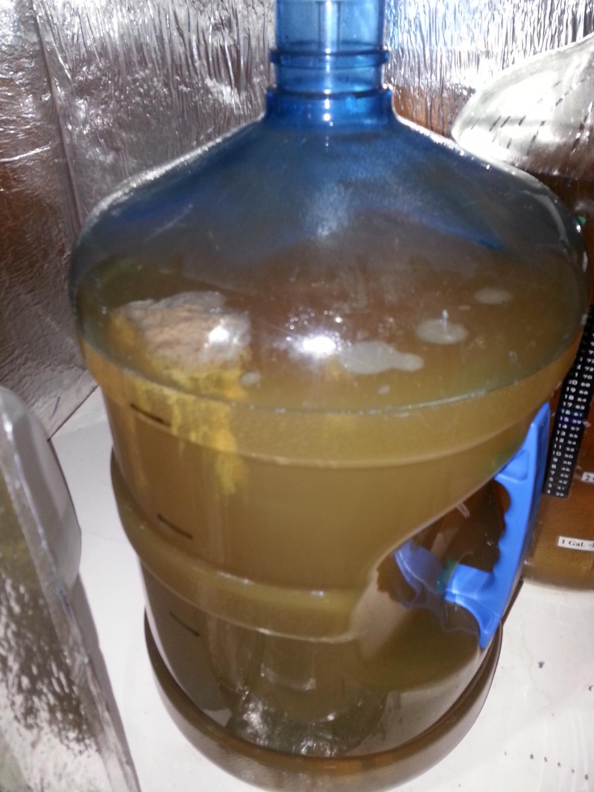20141123_140459.jpg 20141123_140459.jpg