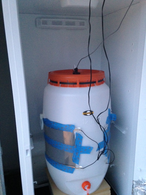 fermenter 111614.JPG