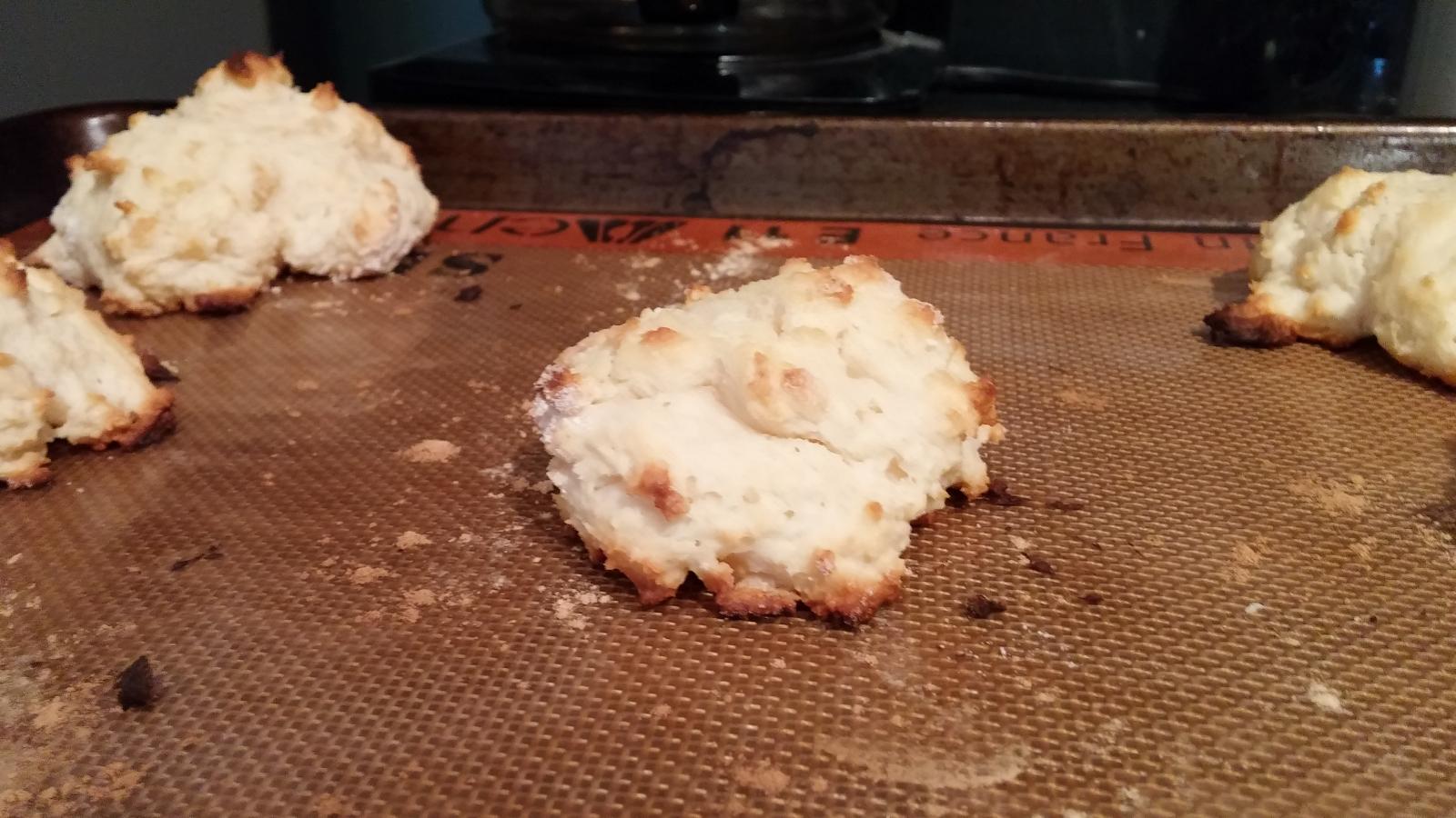 biscuit only.jpg