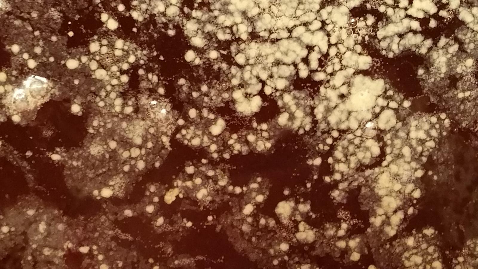 20141213_170226.jpg