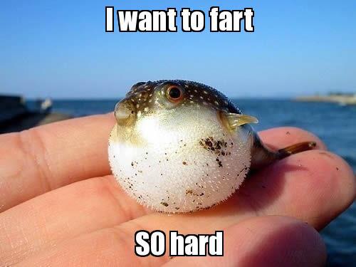 fart.jpg