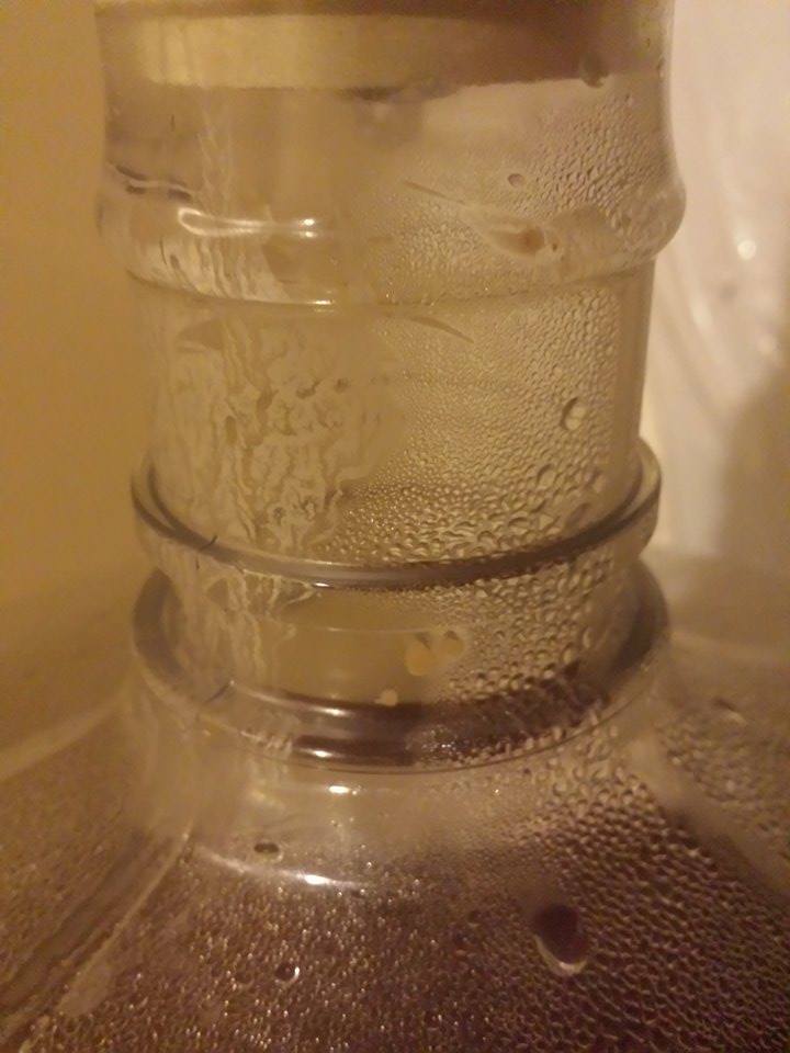 10850389_10202550805005428_1140902312_n.jpg