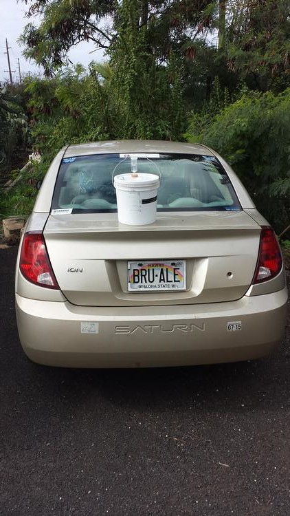 brew.jpg