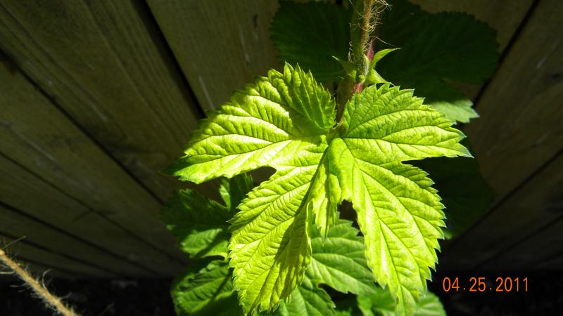 DSCN3878.jpg