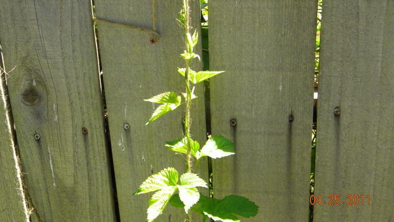 DSCN3881.jpg