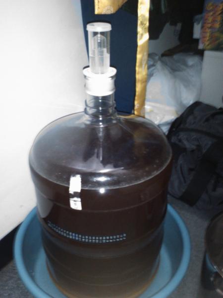 Kolsch.jpg