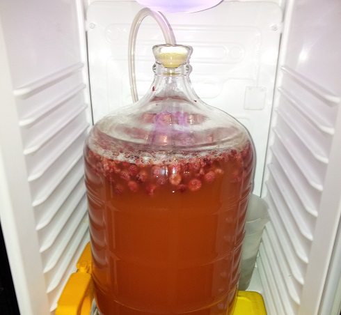 RaspberryWheat.jpg