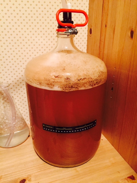 Plinian in Carboy.jpg
