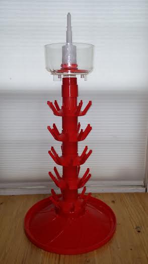 bottletree.jpg bottletree.jpg