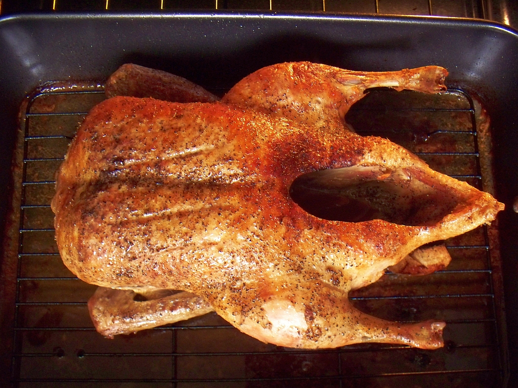 duck4a.jpg