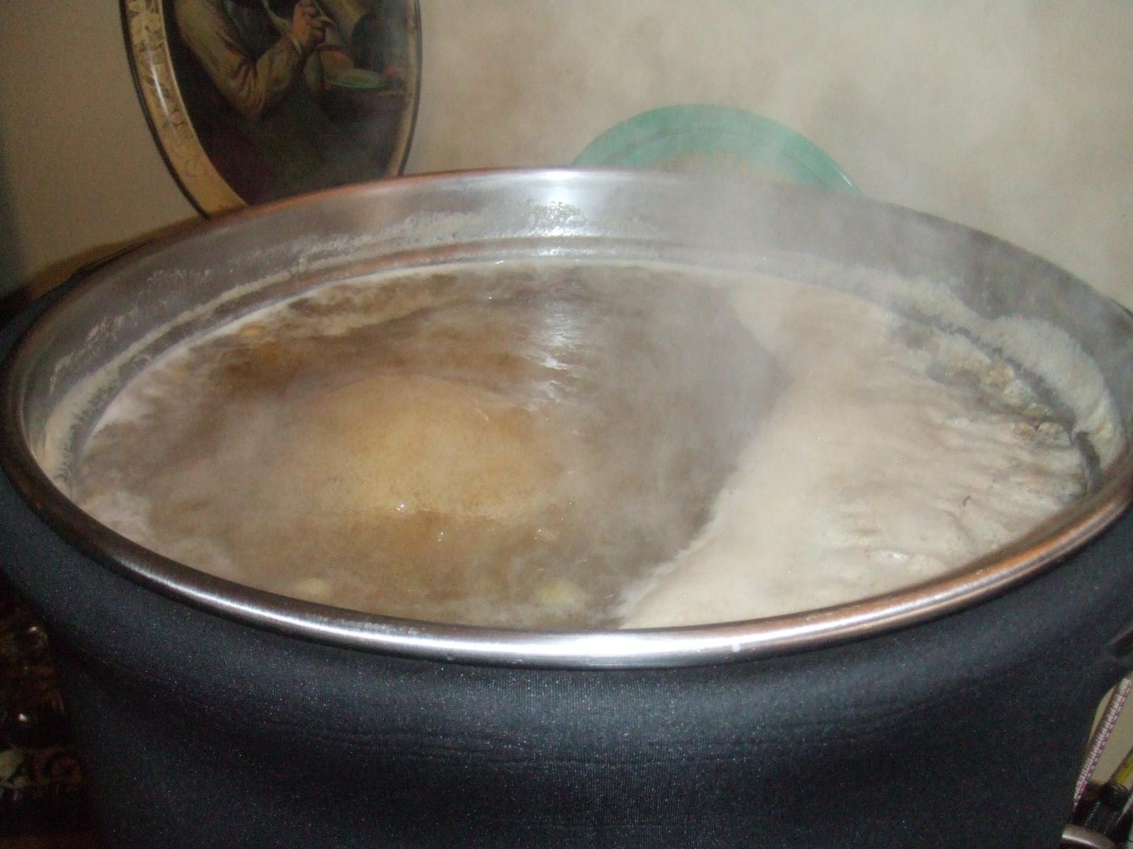 Induction Boil 7.jpg