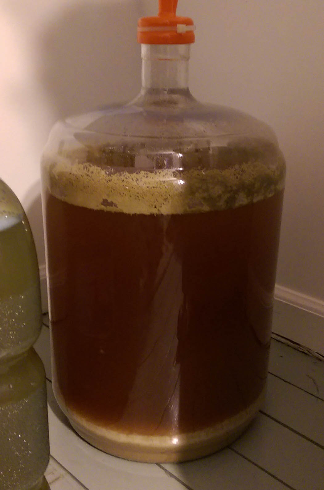 Saison Ale.jpg