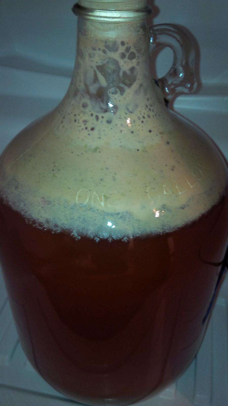 blonde_ale_16days.jpg blonde_ale_16days.jpg