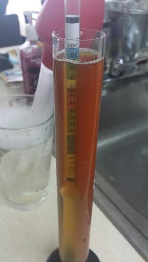 Hydrometer 10 days.jpg