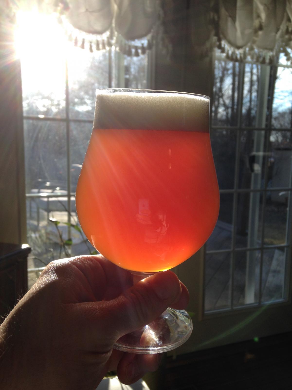 Brew G's 10^2 APA.jpg