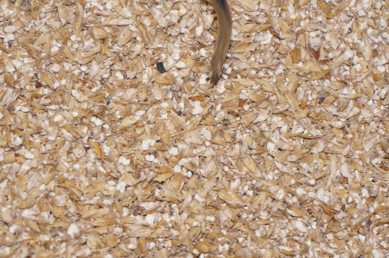 Grain 2.jpg