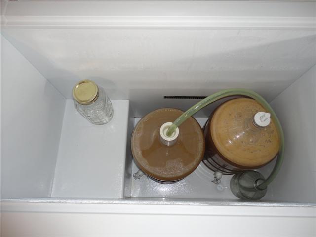 DSC01160 (Small).JPG