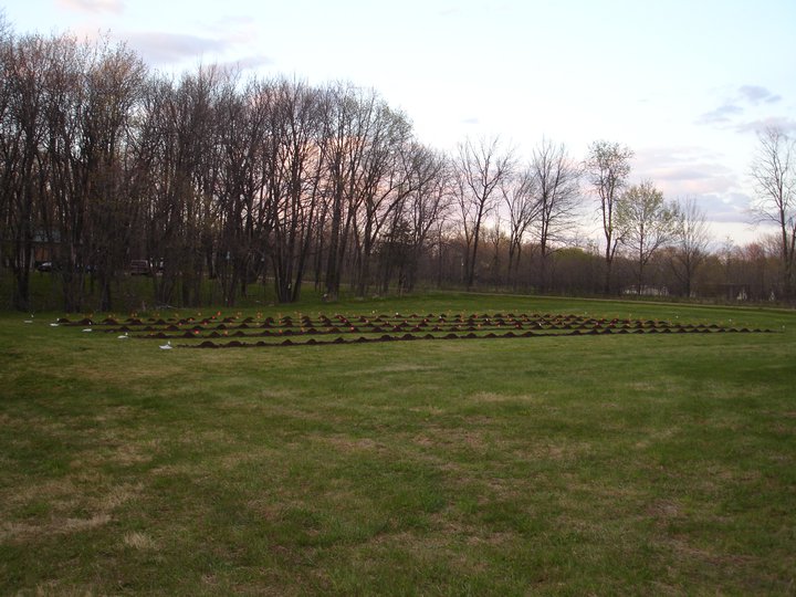 farm.jpg