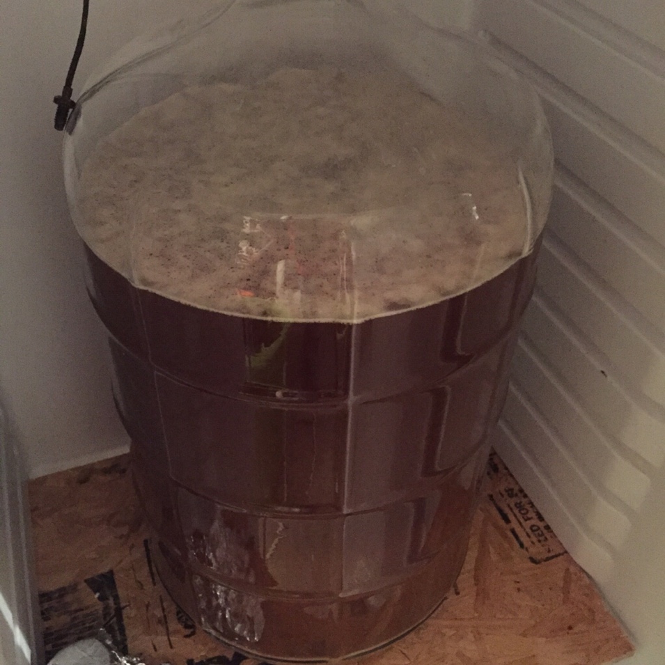 Rehydrated with distilled water Homebrew Talk Beer, Wine, Mead