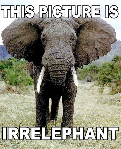 irrelephant.jpg