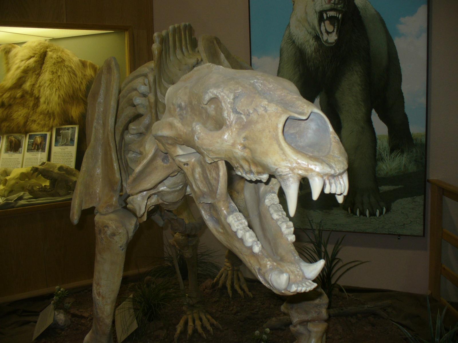 Mammoth Site 083.jpg