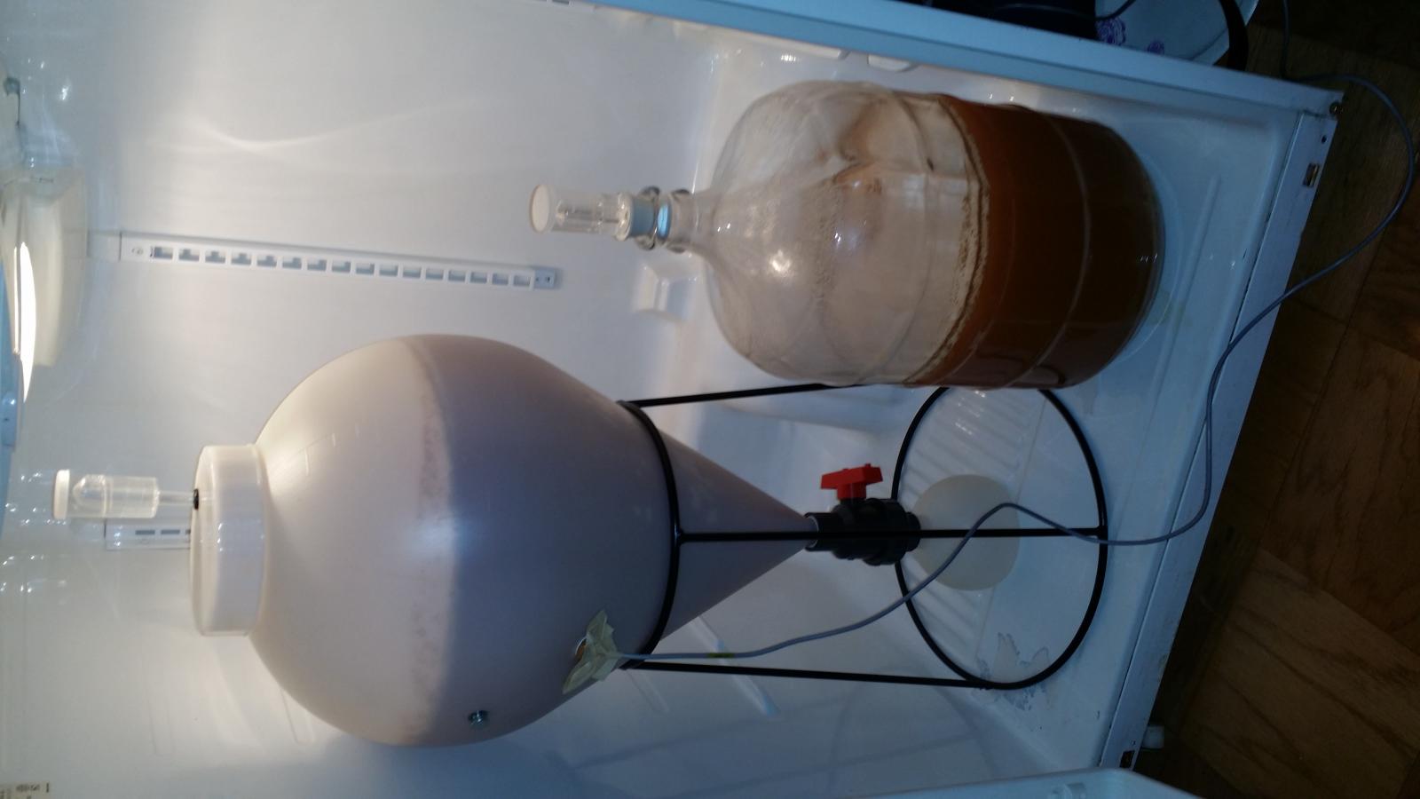 First Lager.jpg