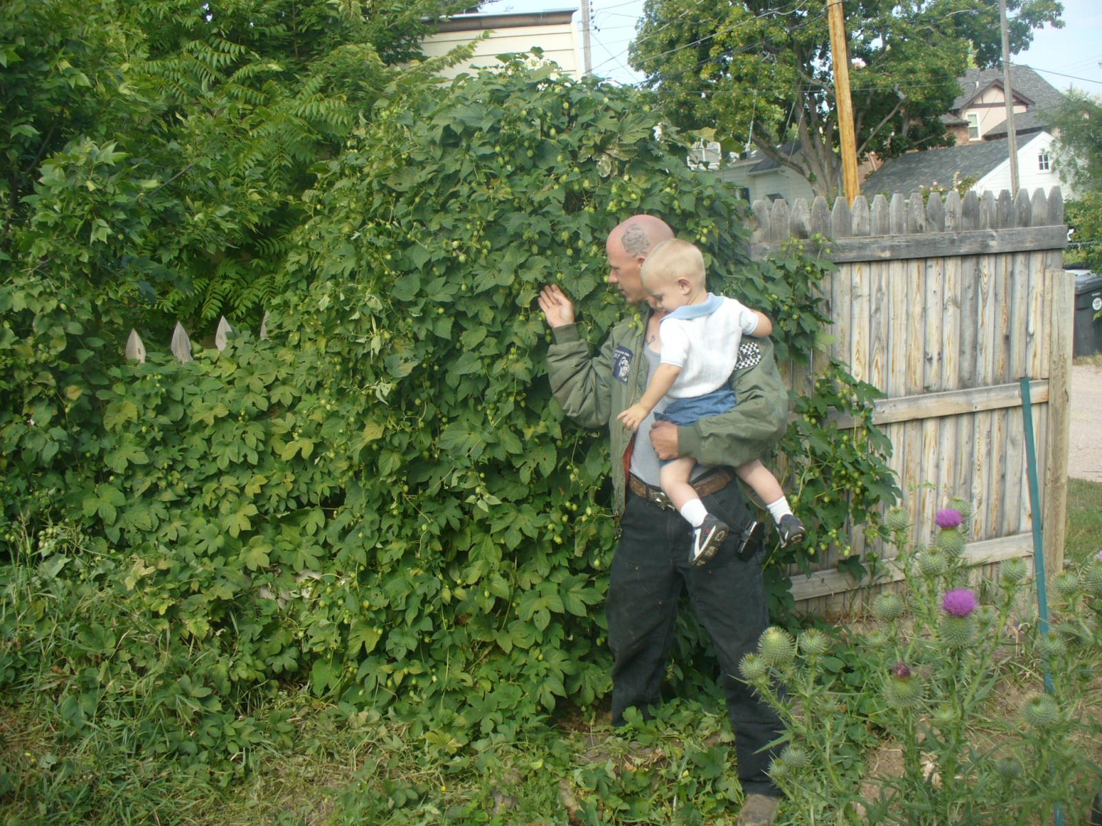 Nugget Harvest '09 014.jpg