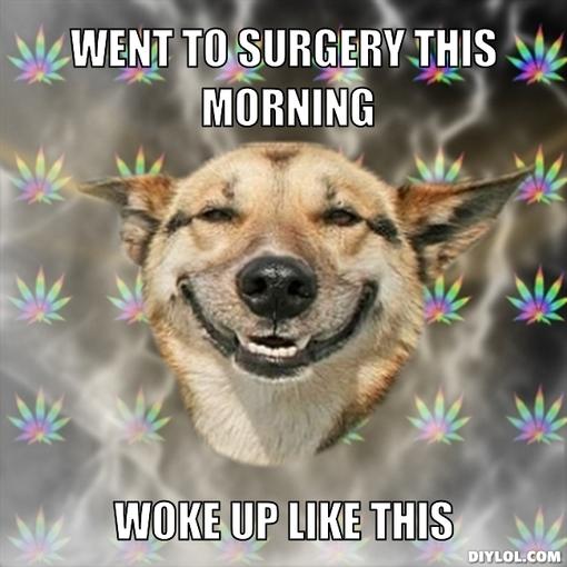 stoner-dog-meme-generator-went-to-surgery-this-morning-woke-up-like-this-ad803b.jpg