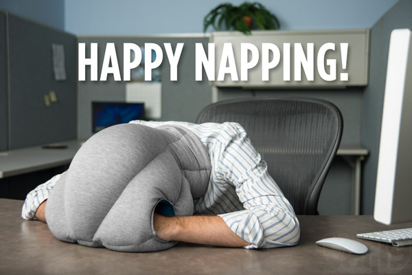 ostrich pillow napping.jpg