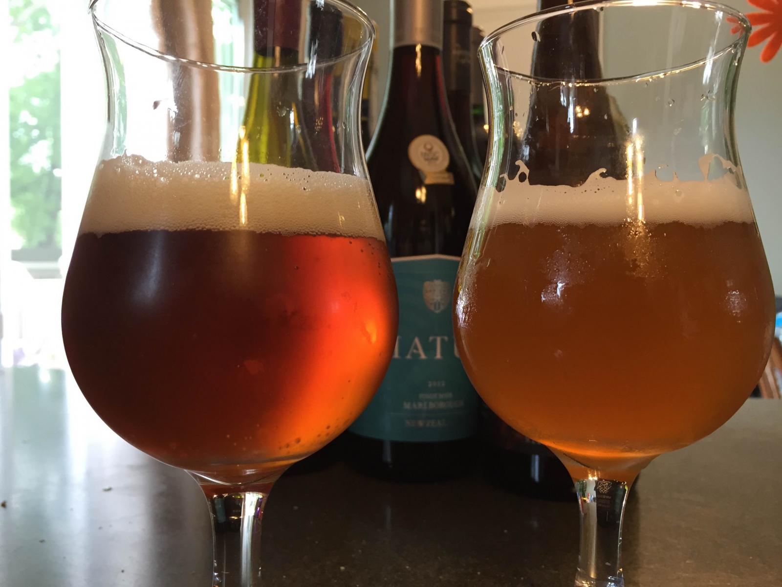 Nugget Nectar vs Hop Nectar.jpg