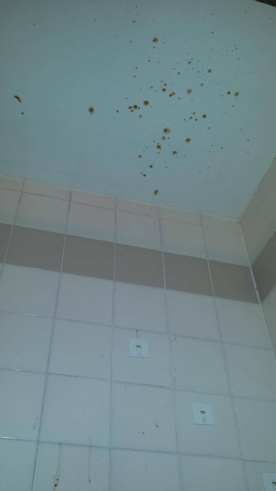 20150604_013741.jpg