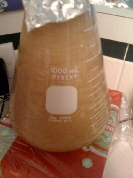 photo-5.jpg