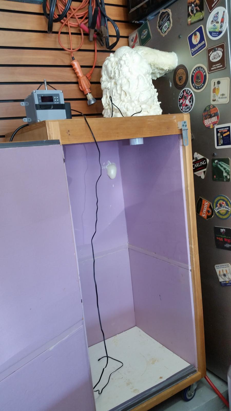 20150606_142654.jpg